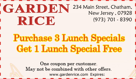 Free 1 Lunch Specials