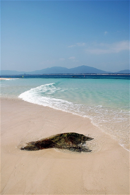 photo of Tropical Seashore Scenic Zone of Sanya City1