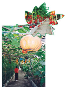 photo of Beidaihe Jifa Agriculture Sightseeing Garden2