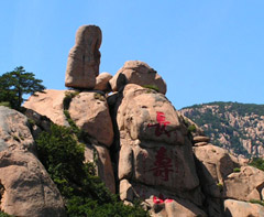 photo of Mountain Longevity2