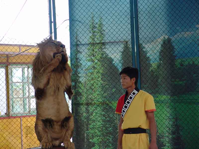 photo of Qinhuangdao Wild Animal Zoo3