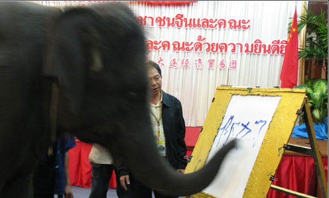 photo of Qinhuangdao Wild Animal Zoo8