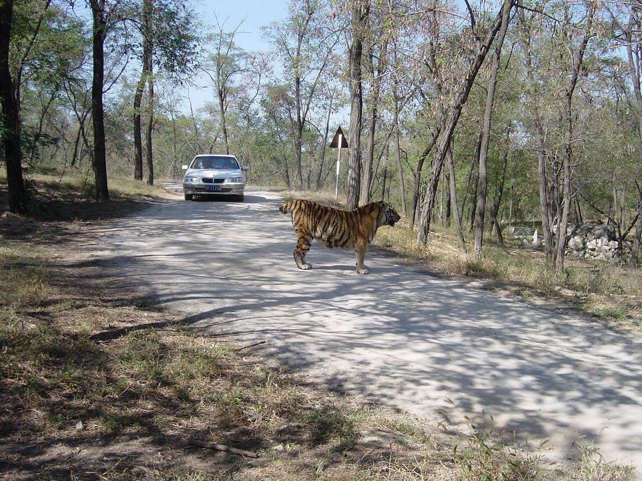 photo of Qinhuangdao Wild Animal Zoo10