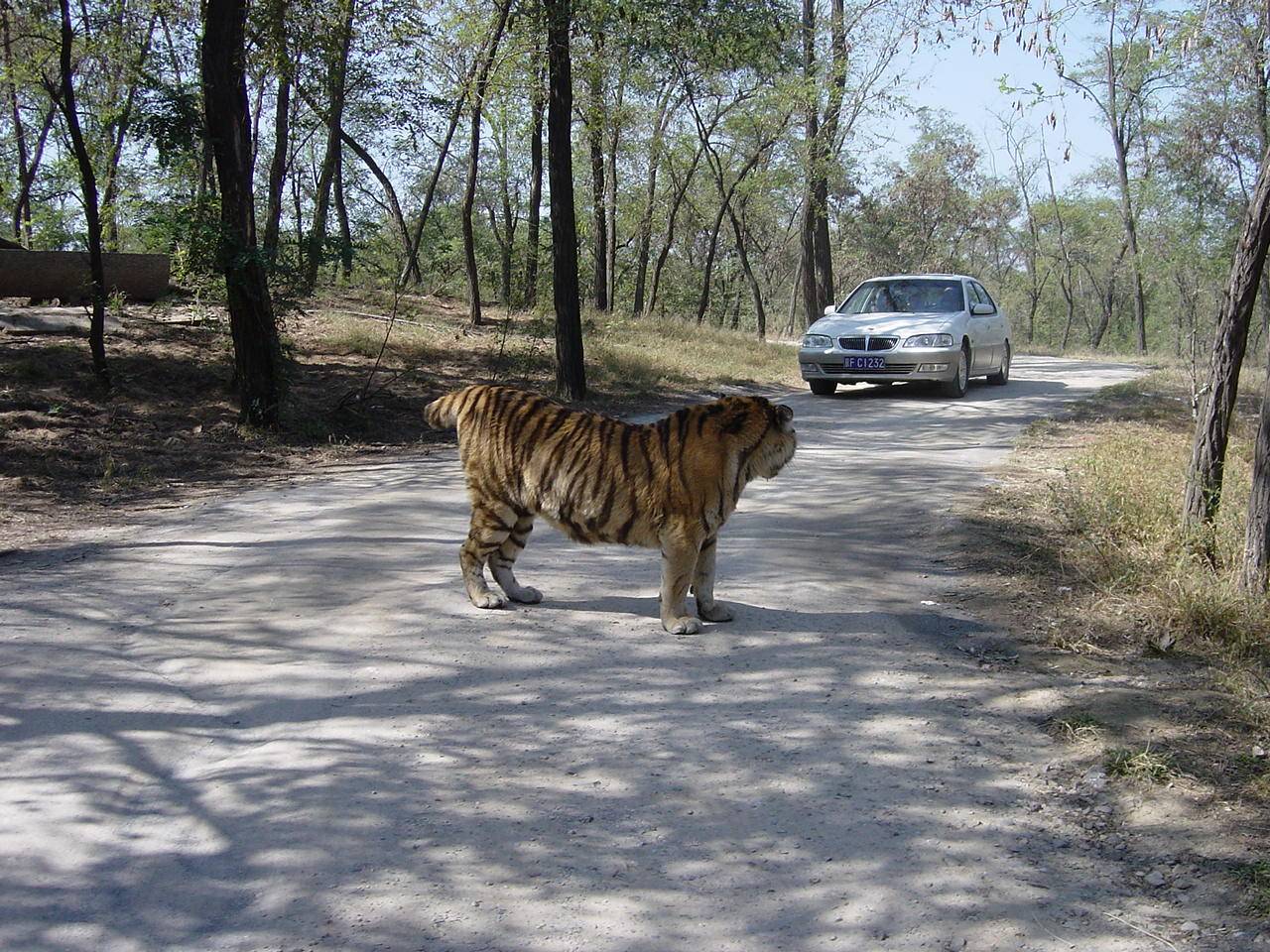 photo of Qinhuangdao Wild Animal Zoo11