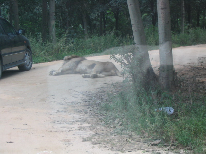 photo of Qinhuangdao Wild Animal Zoo12