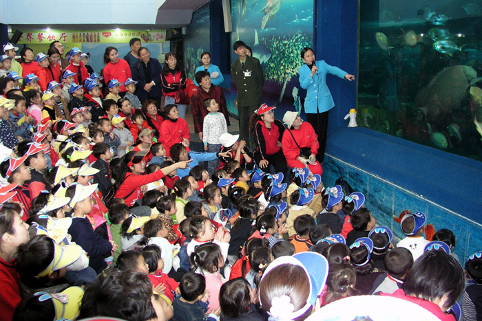 photo of Xin'ao Sea World3