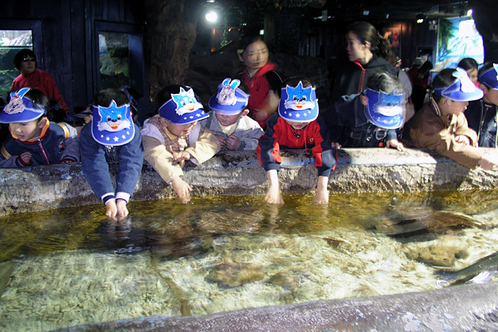 photo of Xin'ao Sea World4