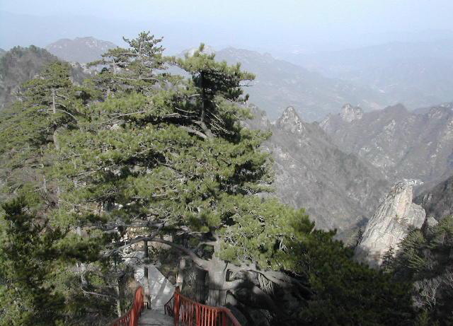 photo of Mountain Shiren Scenic Zone4