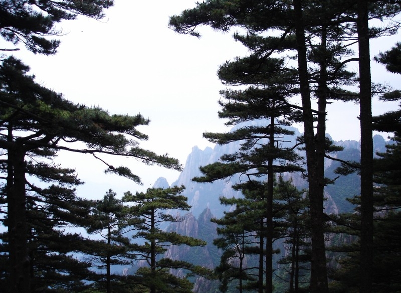 photo of Mountain Huangshan