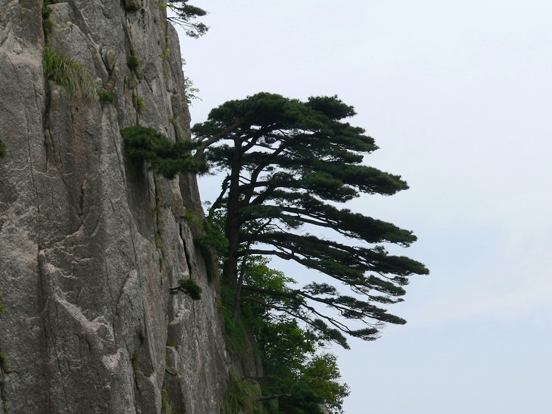 photo of Mountain Huangshan