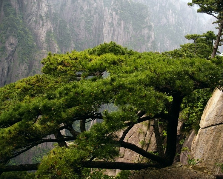 photo of Mountain Huangshan