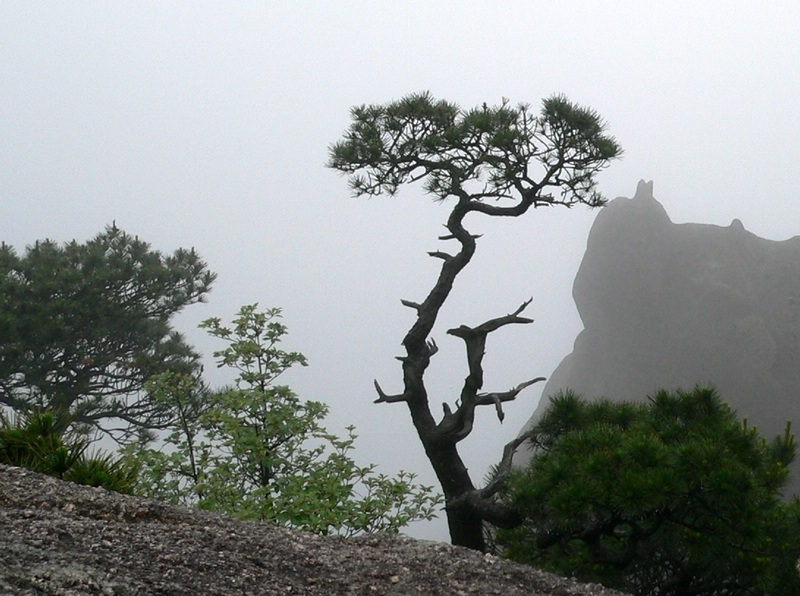 photo of Mountain Huangshan