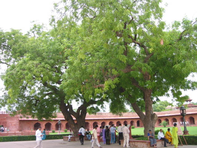 photo of Taj Mahal