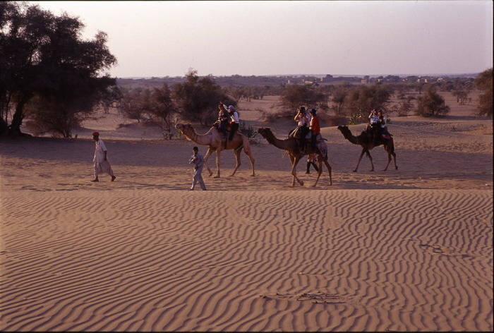 photo of Travel to Jaisalmer