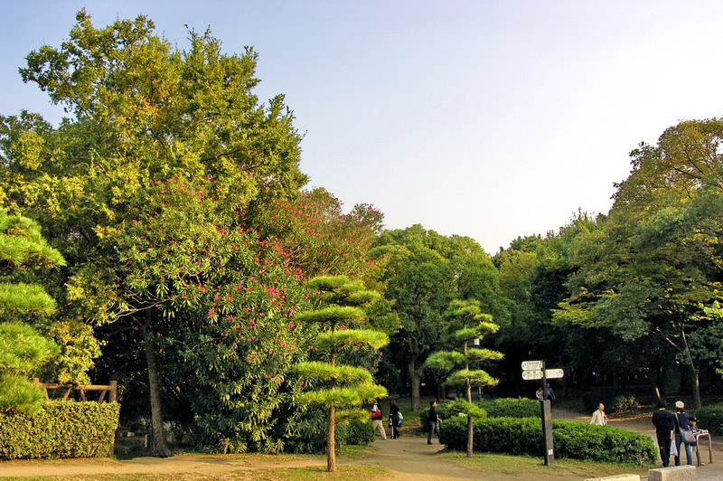 photo of Traveling to Osaka