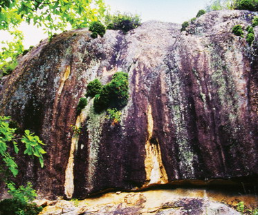 photo of Fairy Scenery Platform1