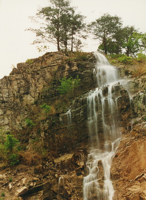 photo of Fairy Scenery Platform6