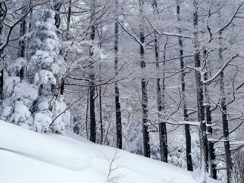 photo of Mountain Changbai3