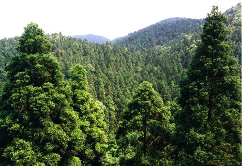 photo of Mountain Maoer National Forest Park3