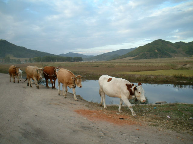 photo of Mountain Maoer National Forest Park5