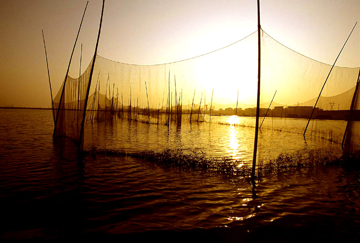 photo of Poyang Lake13