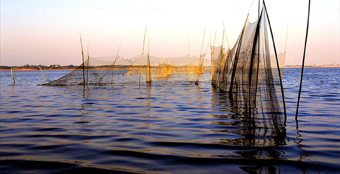 photo of Poyang Lake14