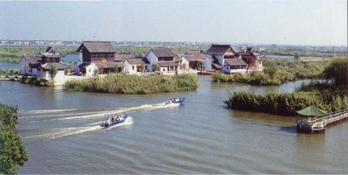 photo of Hasuhai1