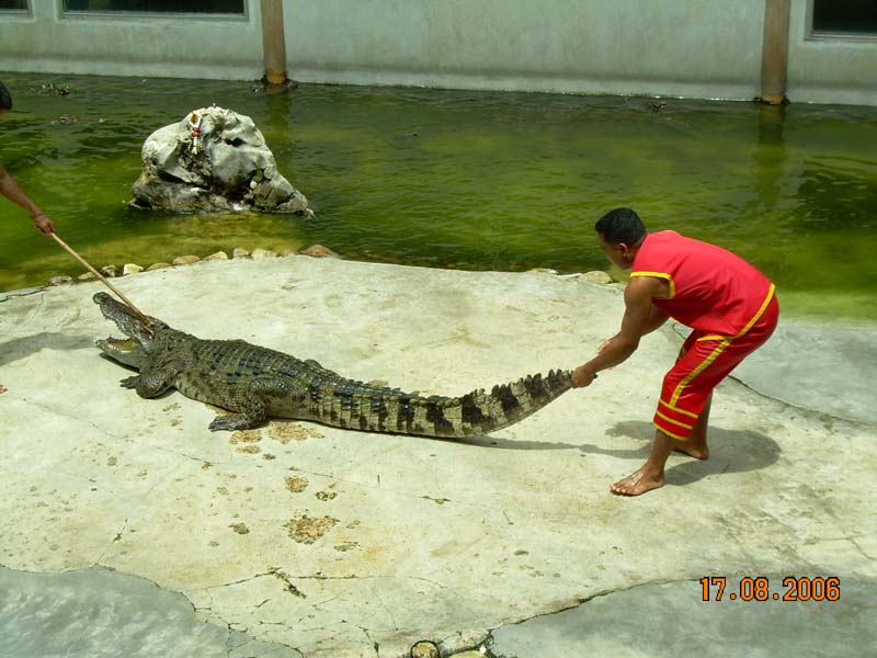 photo of Bangkok