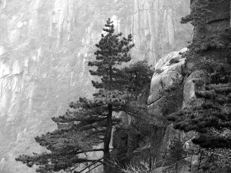 photo of Mountain Huangshan