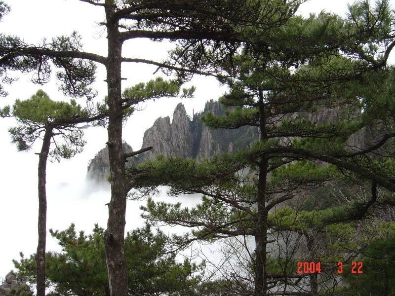 photo of Mountain Huangshan