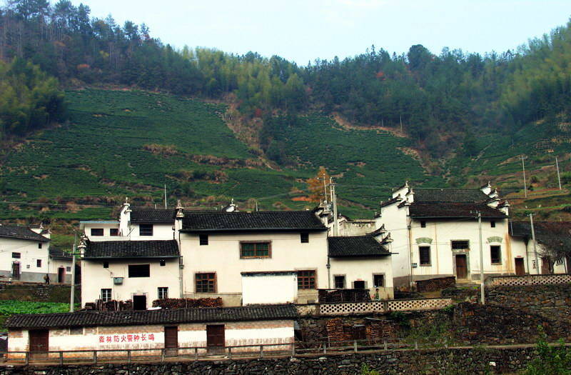 photo of Hongcun Village