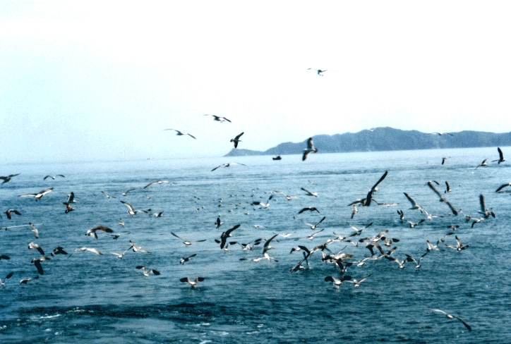 photo of Changdao Island4