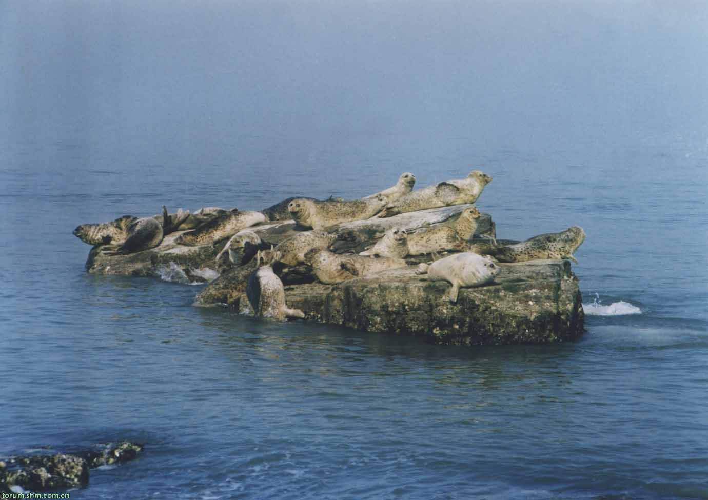 photo of Changdao Island9