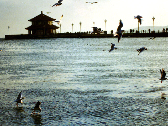 photo of Seashore Scenic Area of Jiaodong Peninsula1