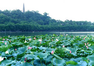 photo of West Lake Scenic Zone10