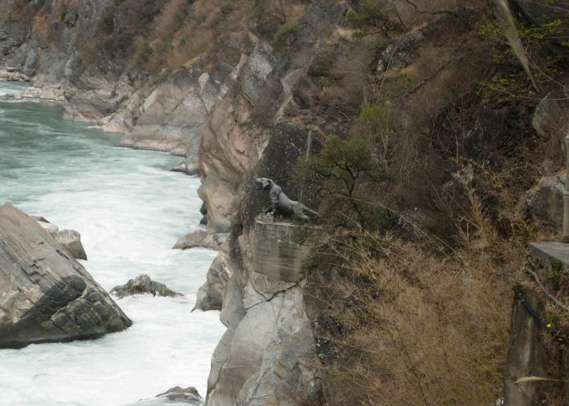 photo of Tiger Leaping Gorge6