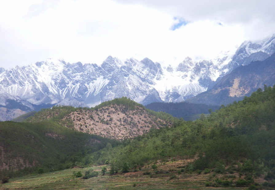 photo of Mountain Jade Dragon Snow-capped1