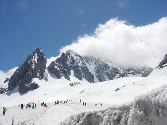 photo of Mountain Jade Dragon Snow-capped11