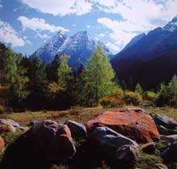 photo of Mountain Four Grils13