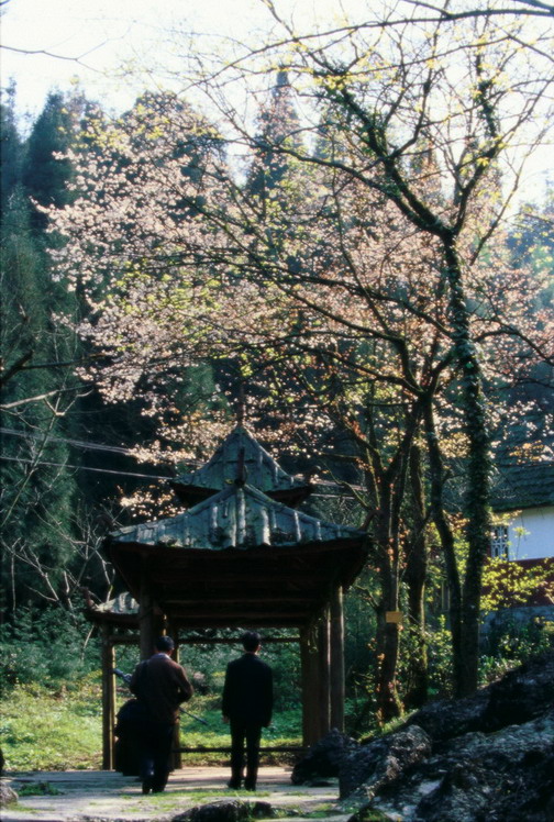 photo of Mountain Tiantai Scenic Area9