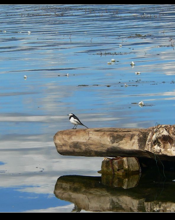 photo of Lugu Lake