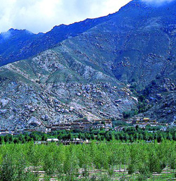 photo of Sera Monastery1