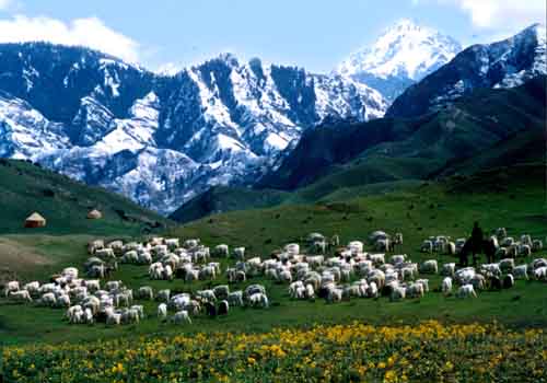 photo of Mountain Nanshan Pasture1