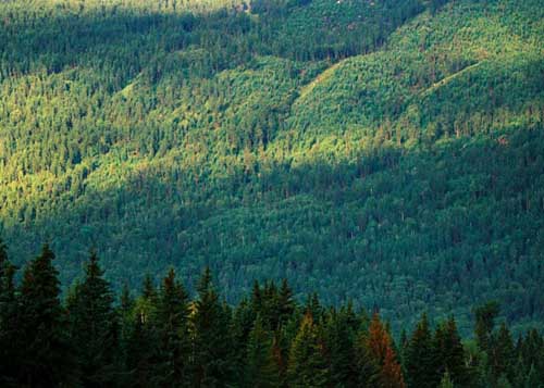 photo of Mountain Nanshan Pasture3