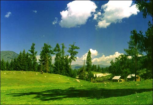 photo of Mountain Nanshan Pasture4