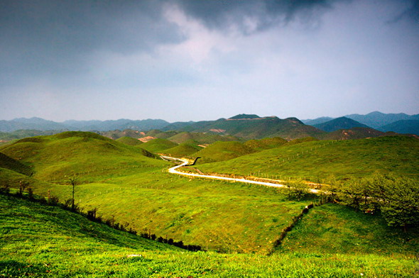 photo of Mountain Nanshan Pasture5