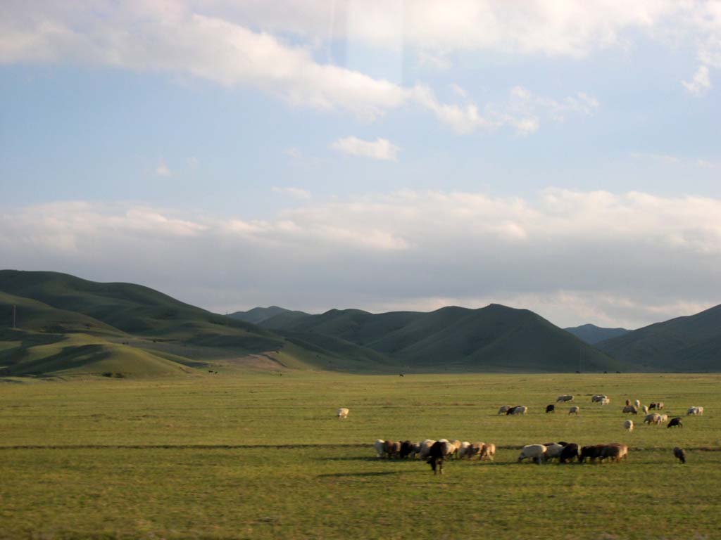 photo of Mountain Nanshan Pasture6