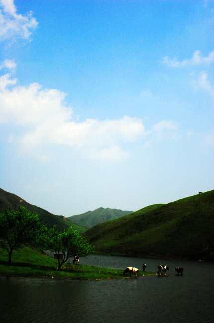 photo of Mountain Nanshan Pasture9