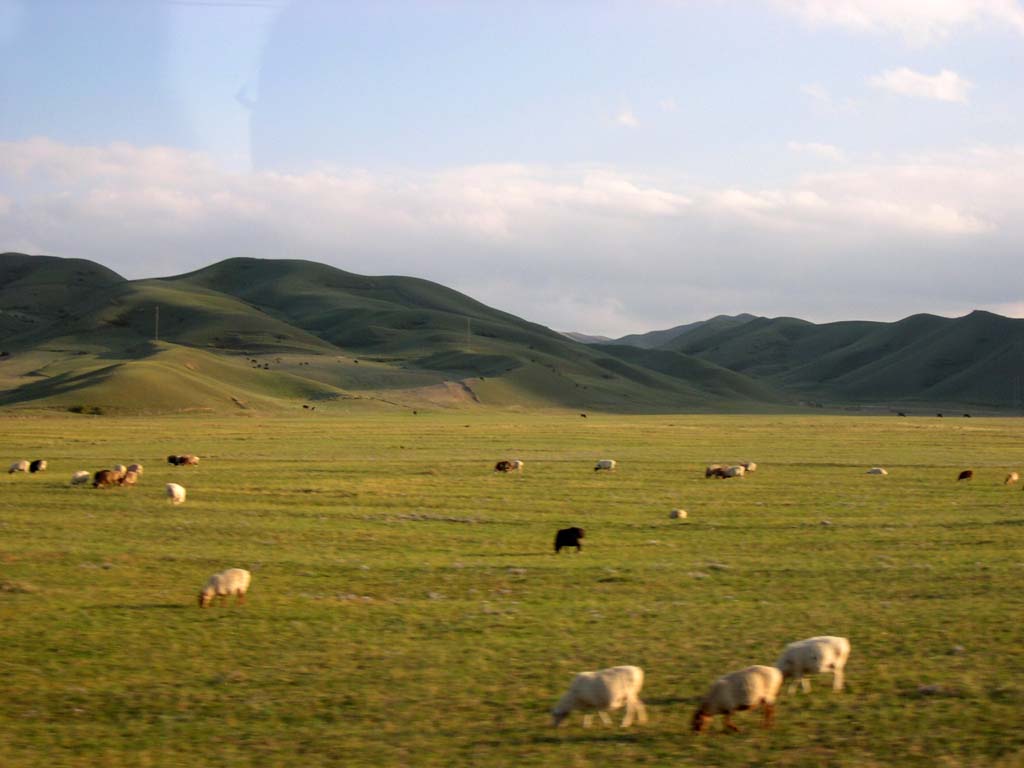 photo of Mountain Nanshan Pasture13