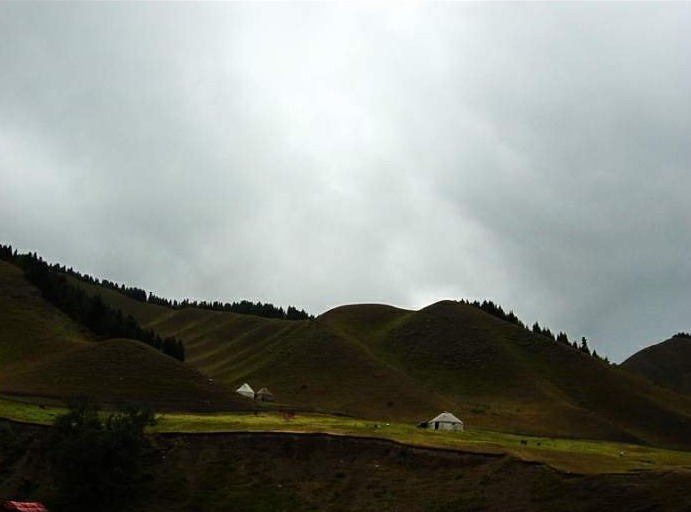 photo of Mountain Nanshan Pasture14